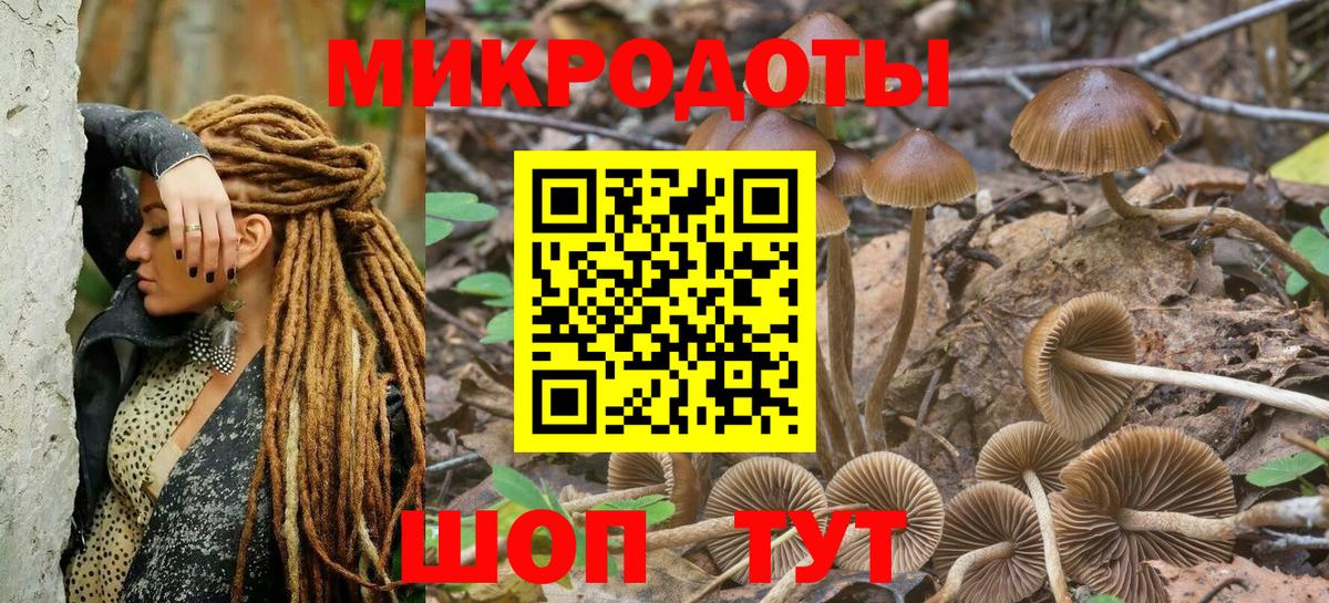 Псилоцибиновые грибы ЛСД  Вход с VPN  Бердск 